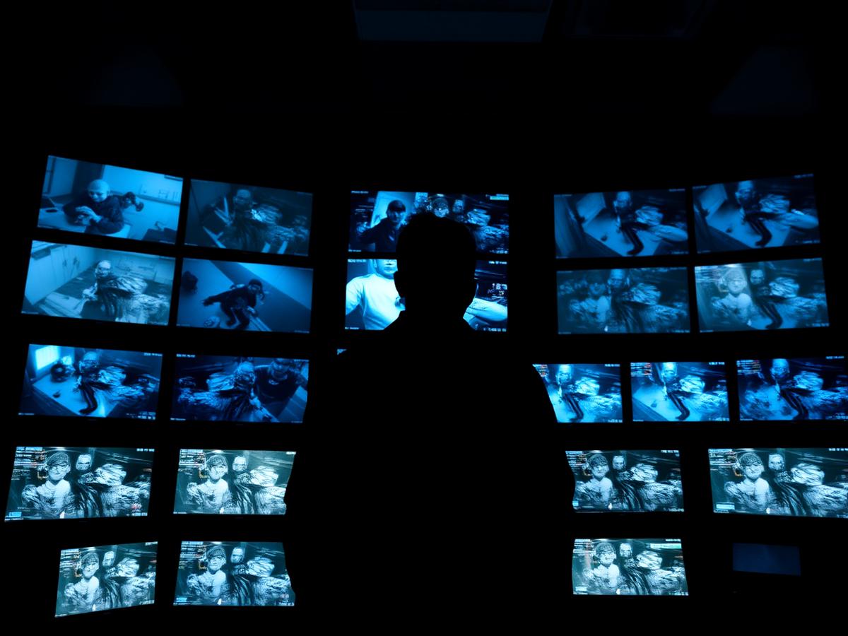 Télésurveillance